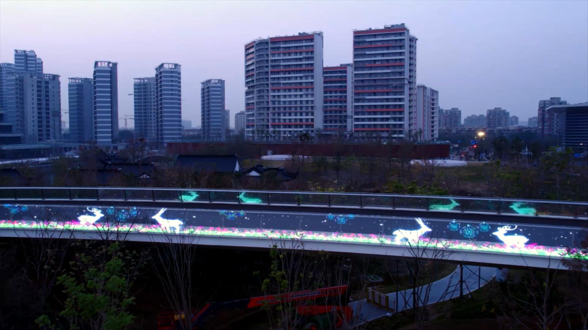 临港顶科科学家社区